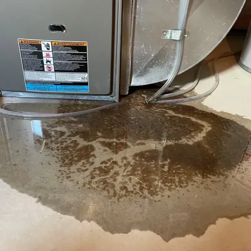 Appliance Leak Cleanup in Brown County, MN